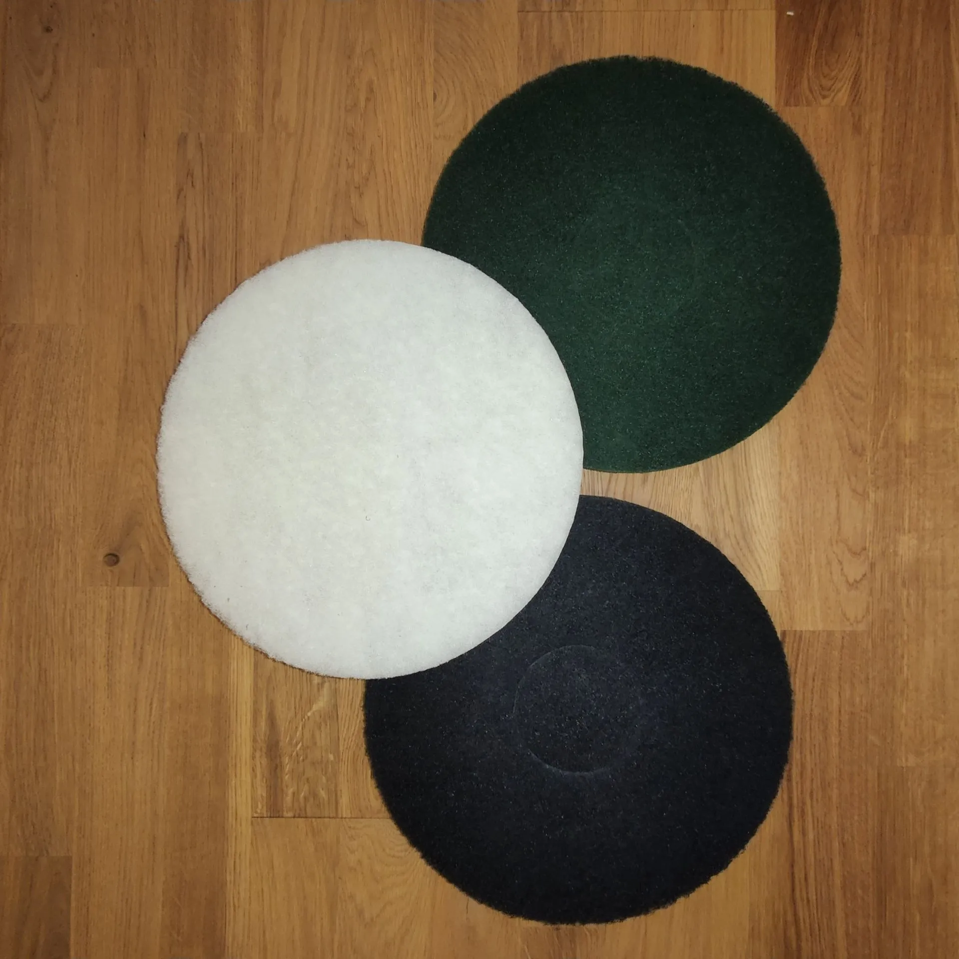 MIETEN: POLIERMASCHINE FLOORBOY