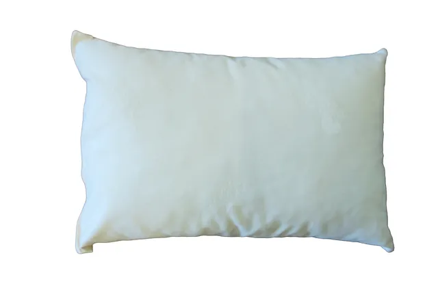 Klassiker Kissen mit Rosshaar